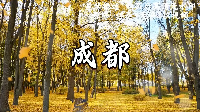 成都视频完整版视频在线观看成都视频完整版视频在线观看-第1张图片