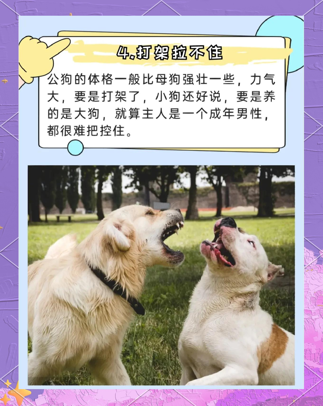 适合人的母狗适合人的母狗-第3张图片