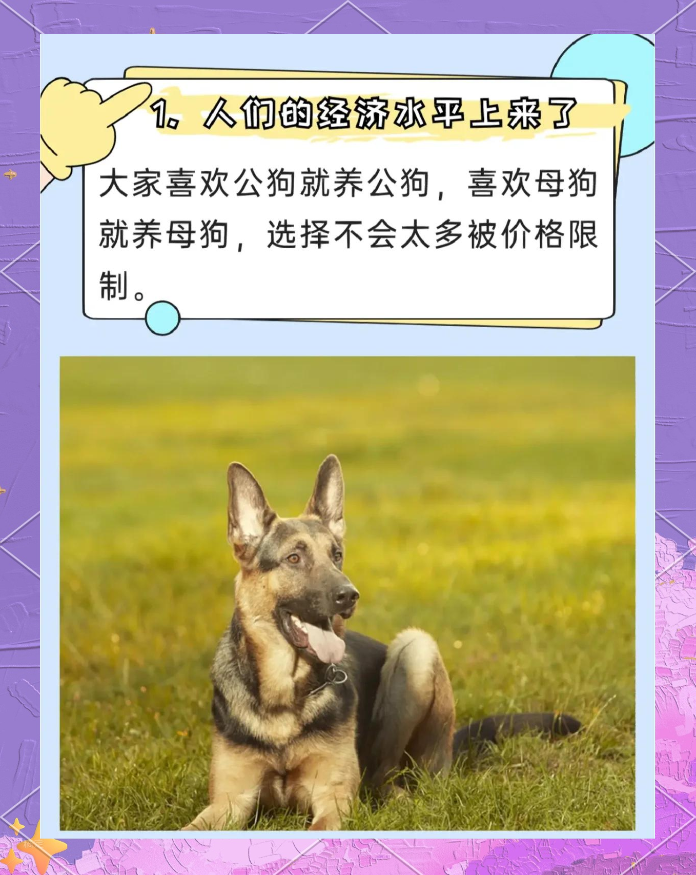适合人的母狗适合人的母狗-第1张图片