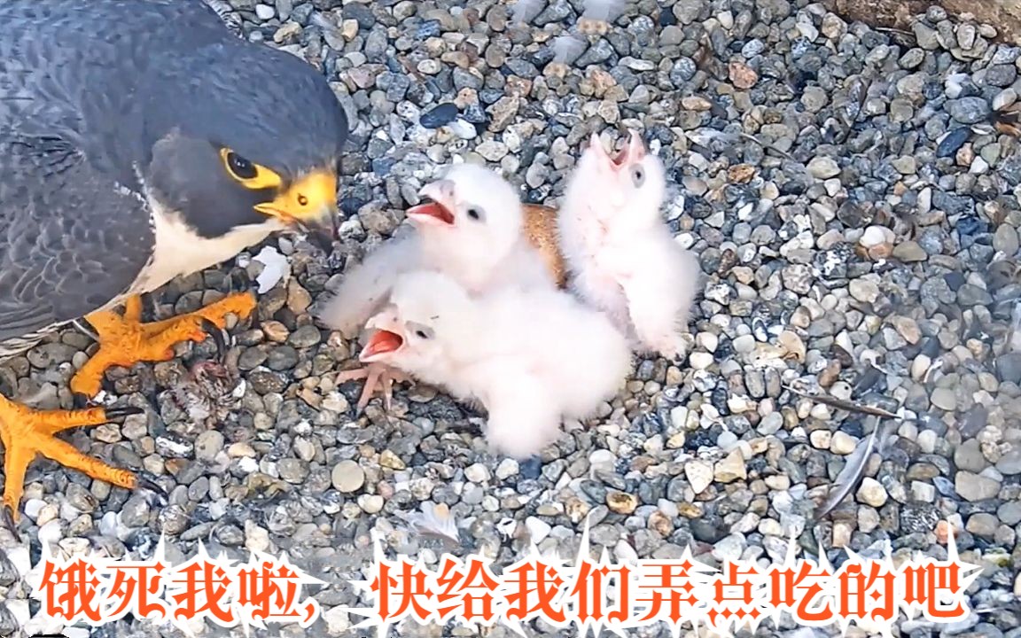妈妈好久没和你弄啦-第3张图片