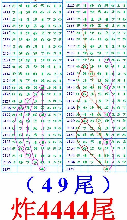 无人去码一码二码三码区欧美无人去码一码二码三码区介绍-第3张图片