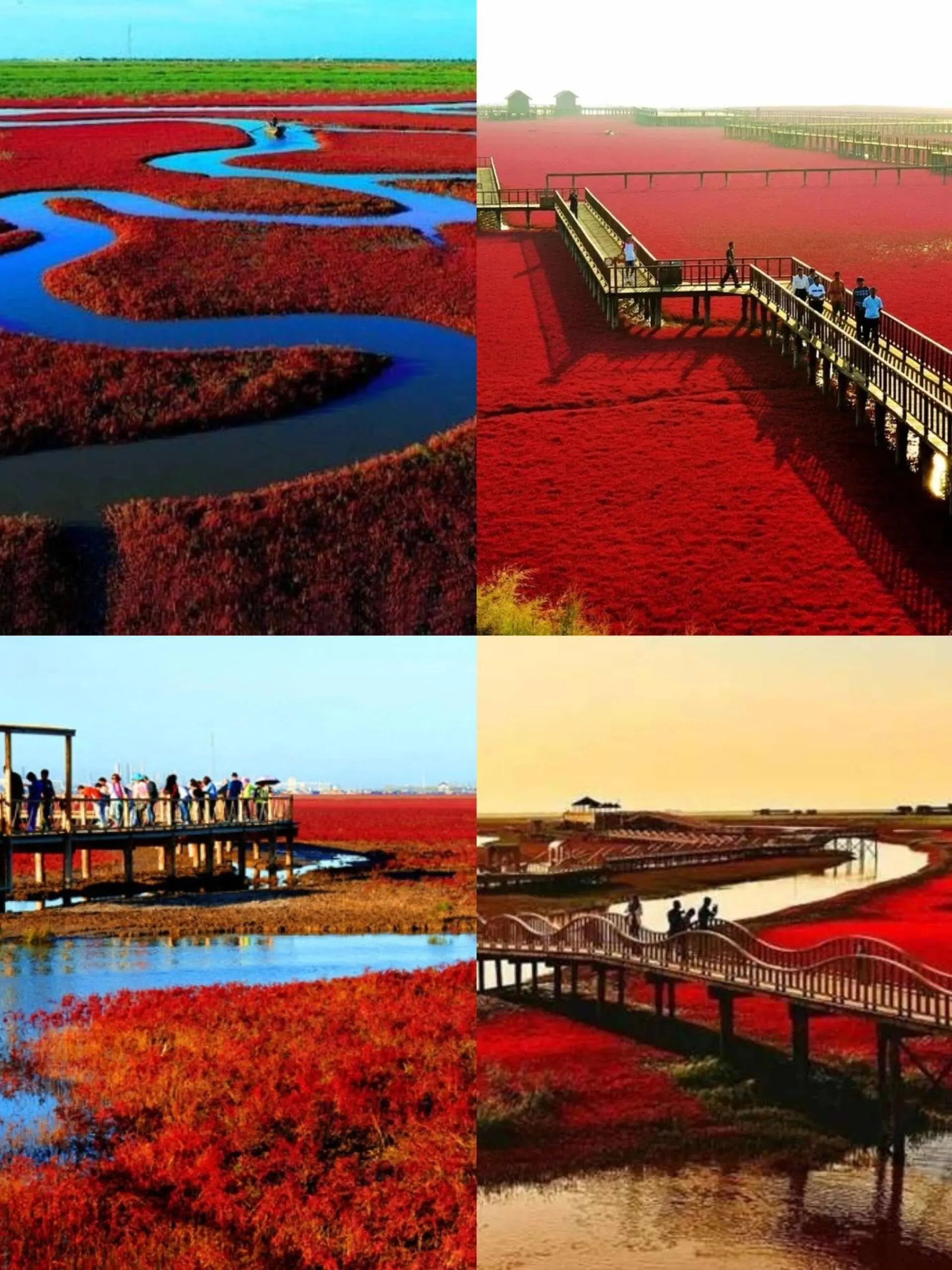 东北xxx东北风情之旅，探寻独特文化与自然景观-第1张图片