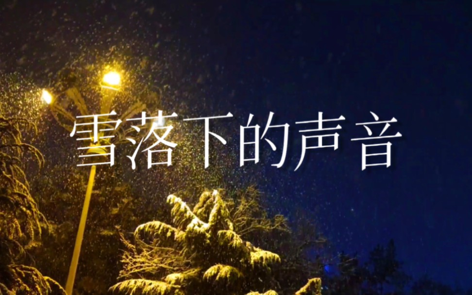 碧雪情天，雪落下的浪漫与情感-第2张图片