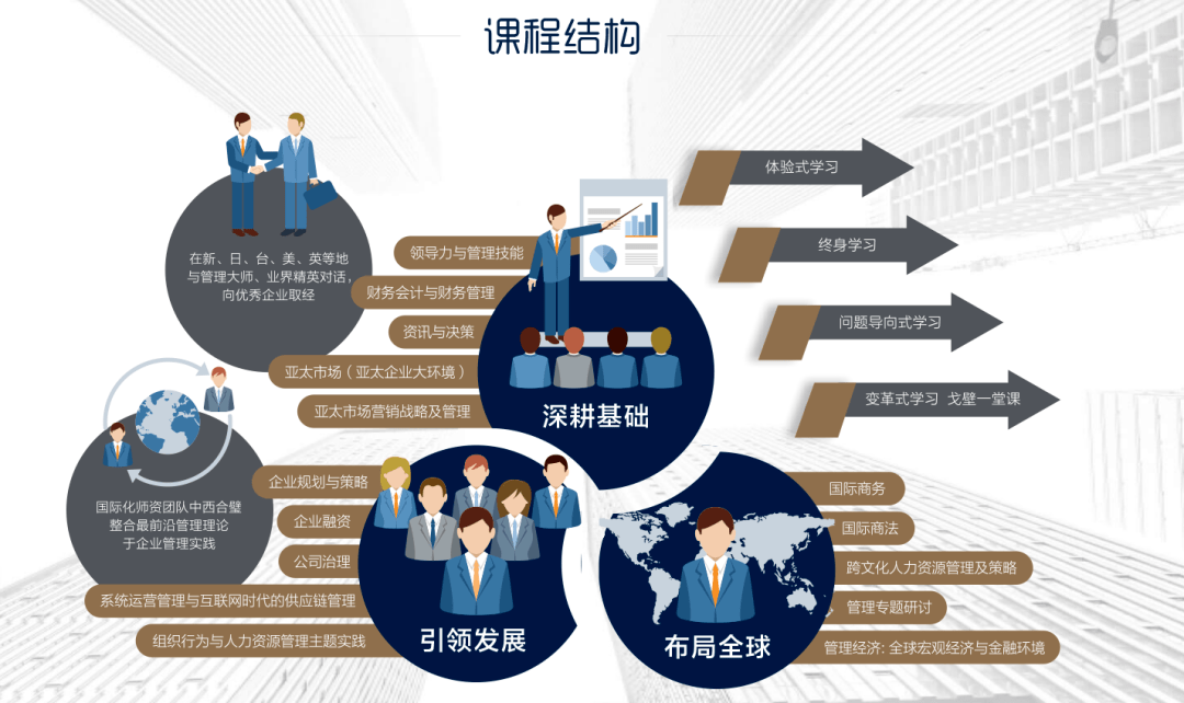 大赢家实战版，策略与行动的完美结合