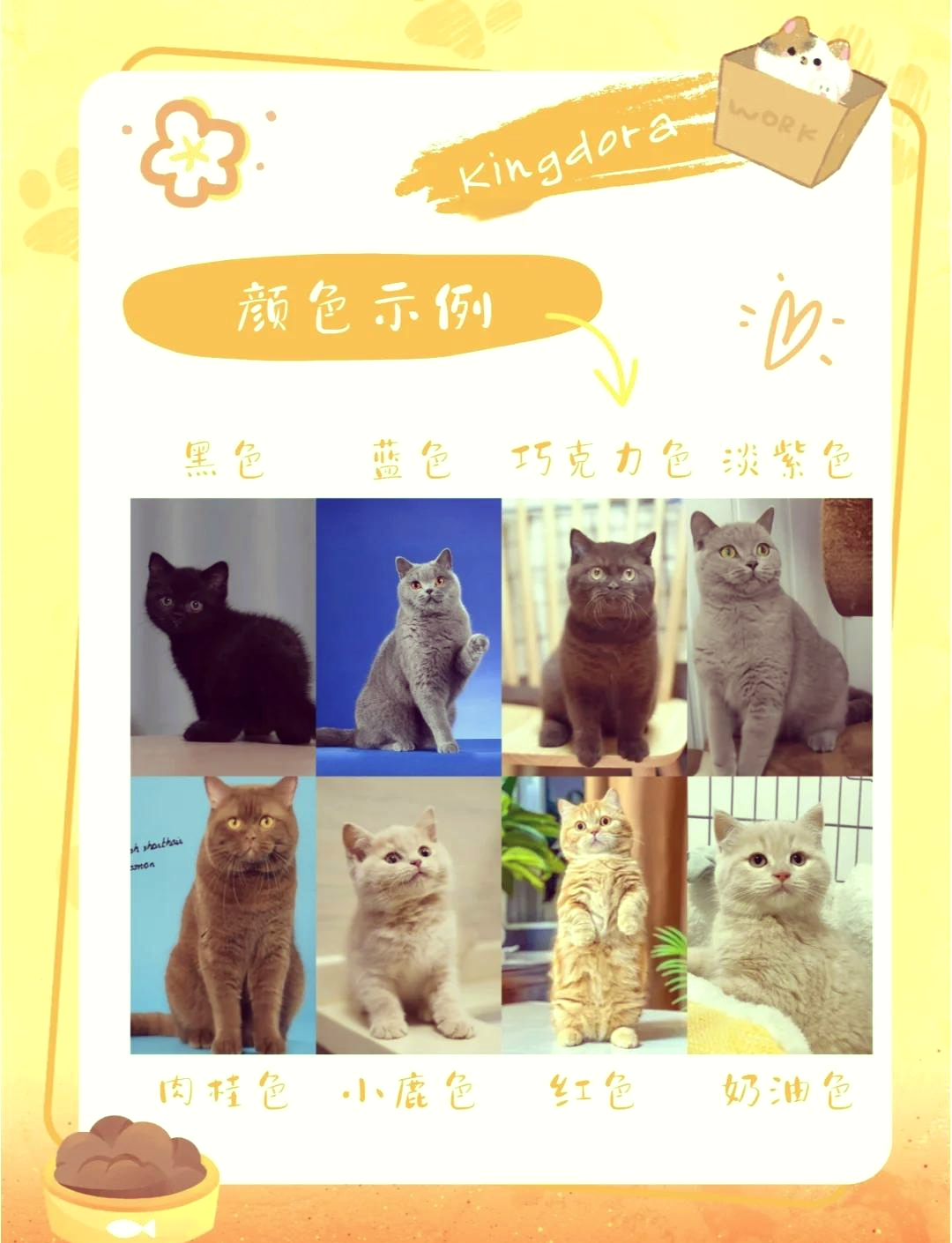 生化金字塔，探索生命奥秘的神秘世界-第1张图片