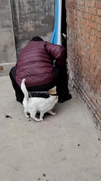 走一步故意深深地撞楼梯故意走一步撞楼梯-第2张图片