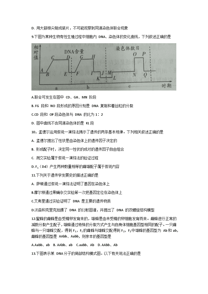 联盟评测，深度解析与策略探讨-第1张图片