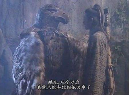神雕侠侣宠物蜕变攻略神雕侠侣中的宠物传奇-第1张图片