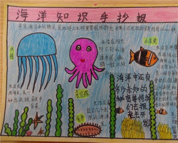 2022澳门正版资料全年免费公开，探索无限知识海洋