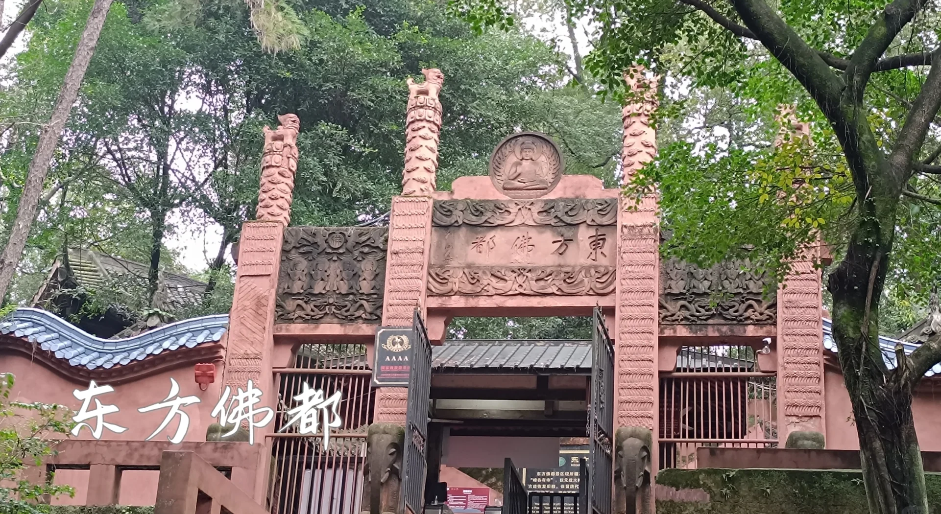 乐山大佛景区门票乐山大佛景区门票攻略