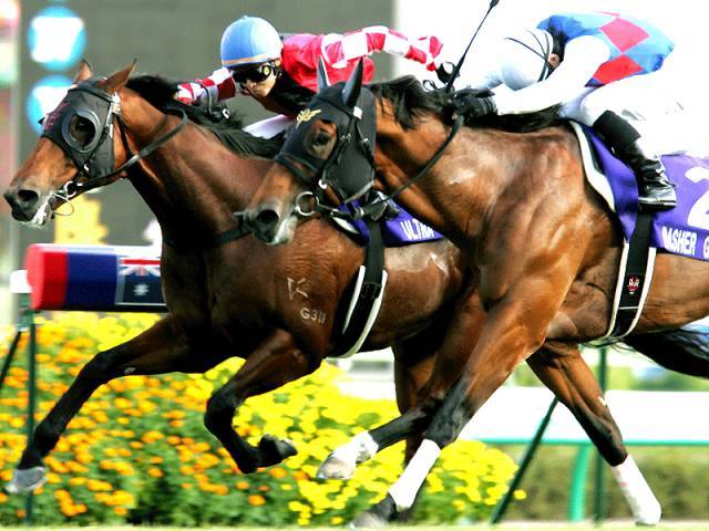 香港赛马会免费资枓网香港赛马会免费资源网，探索无限可能-第1张图片