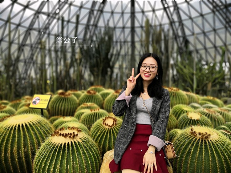 翁公的巨物挺进了密进免费播放翁公的巨物挺进