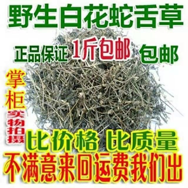 草草影视新发地布地2021草草最新发布，WY68地扯
