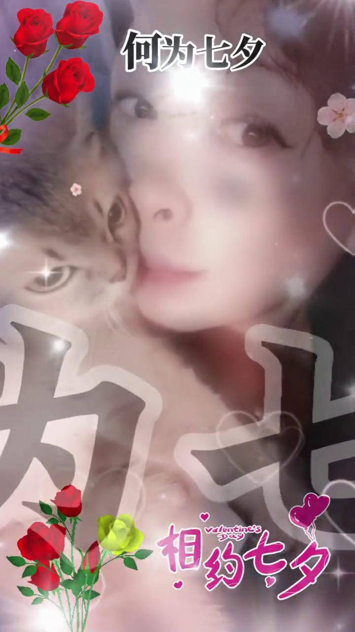 手机的秘密 七夕 悔悟 在线观看手机的秘密与七夕的悔悟-第1张图片