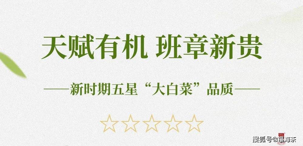 2023澳门正版精准资料公开，引领市场新风向
