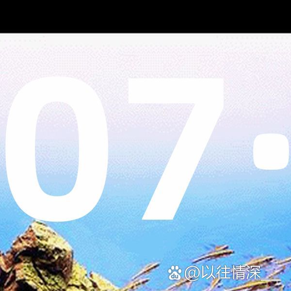六盒宝典2023年最新版开奖，香港特色与惊喜-第2张图片