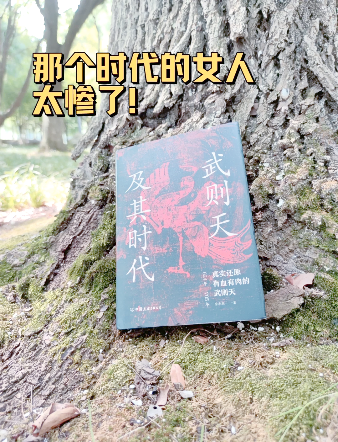 少女武则天，传奇的青春与权力-第2张图片