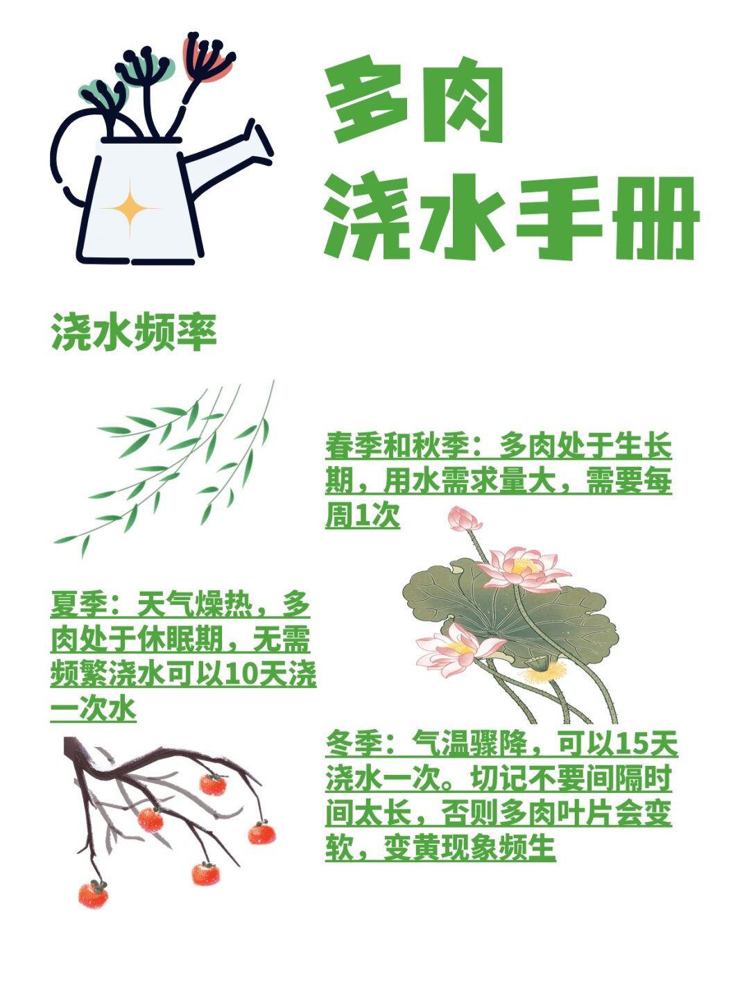 1v3多肉小公主的温馨故事-第2张图片