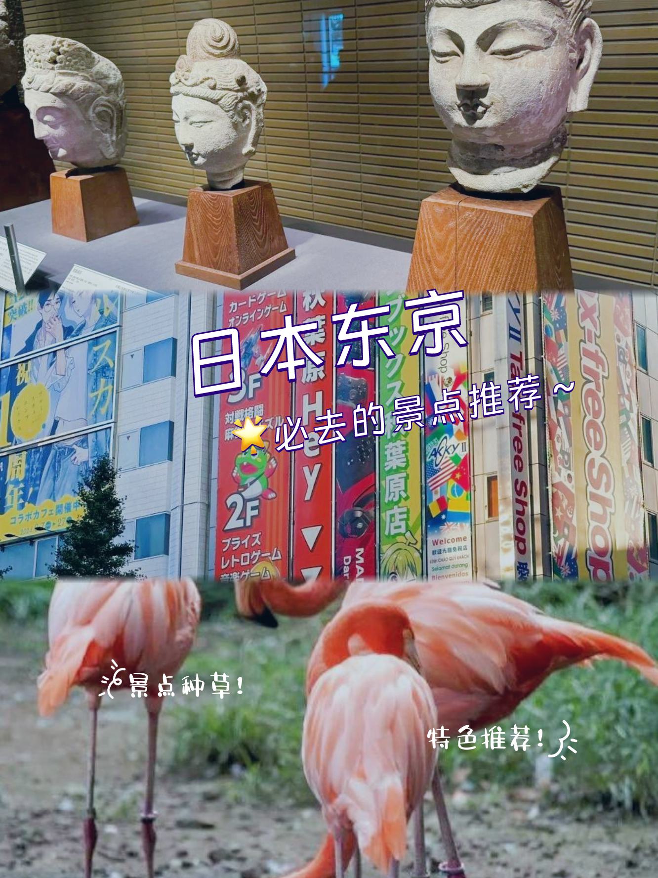 亚洲精品日本亚洲精品日本，探寻独特魅力与文化底蕴