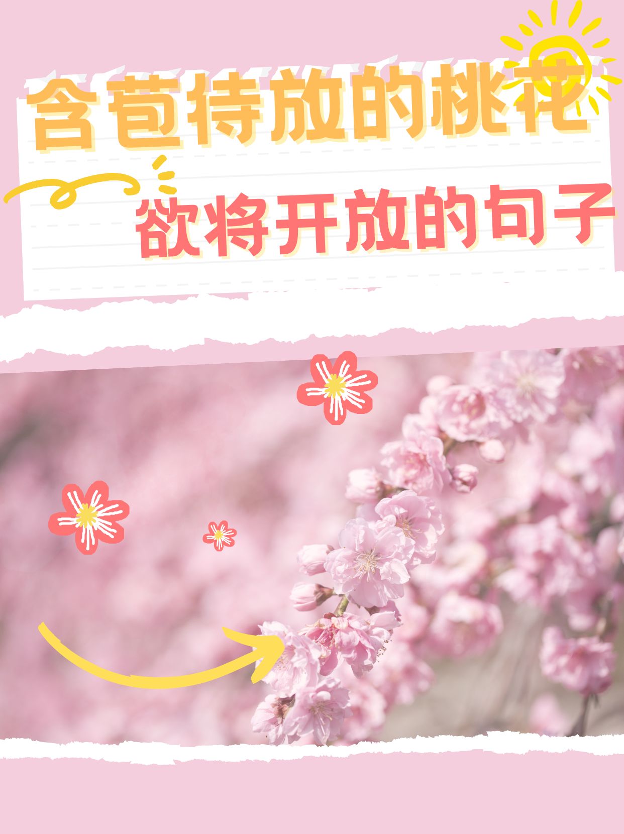含苞待放的桃花欲将开发句子含苞待放的桃花欲将开发-第2张图片