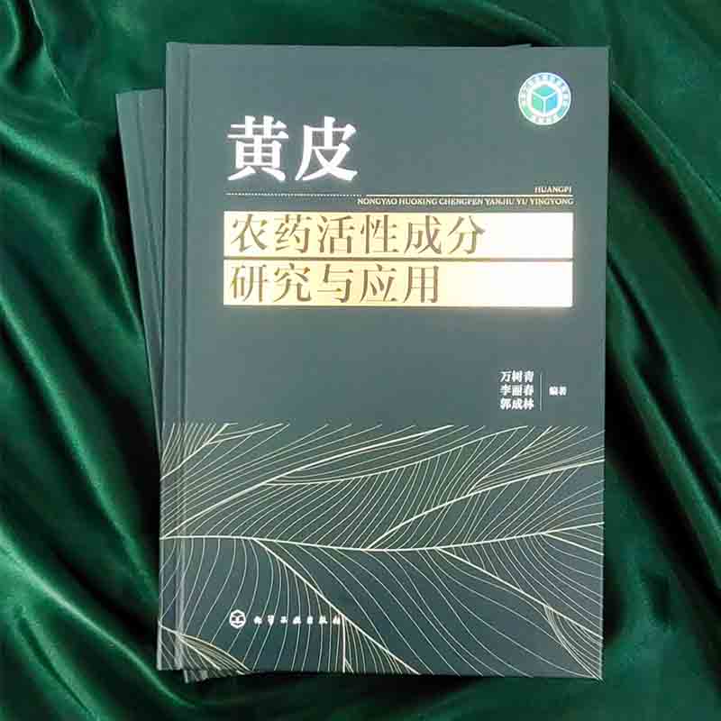 97青色超碰97qingse，探索新时代下的文化与艺术-第2张图片