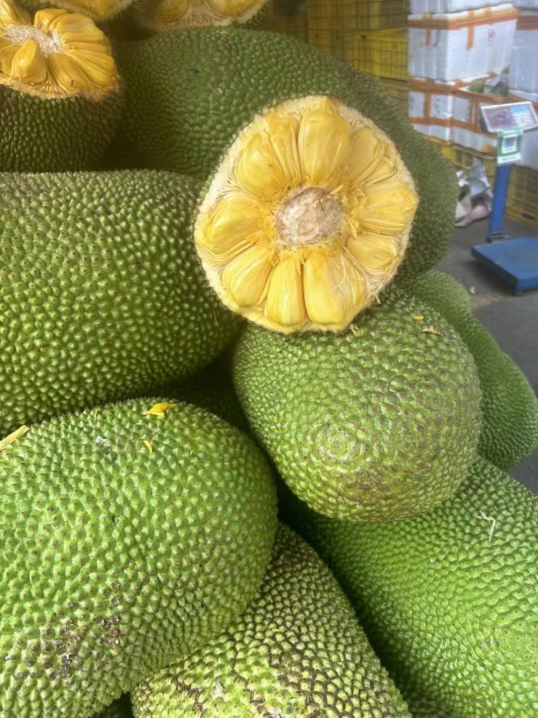 菠萝菠萝菠萝蜜污污污-第2张图片