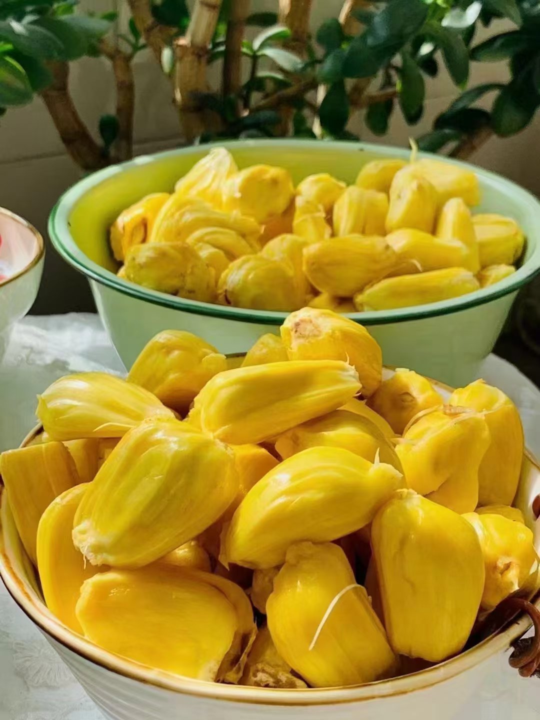 菠萝菠萝菠萝蜜污污污-第1张图片