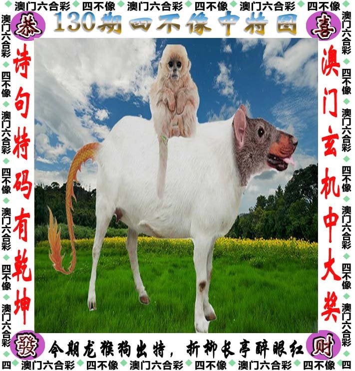 二四六天天好彩精选文字