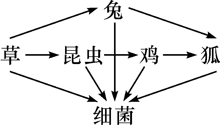 第一区和第二区之间的区别-第2张图片