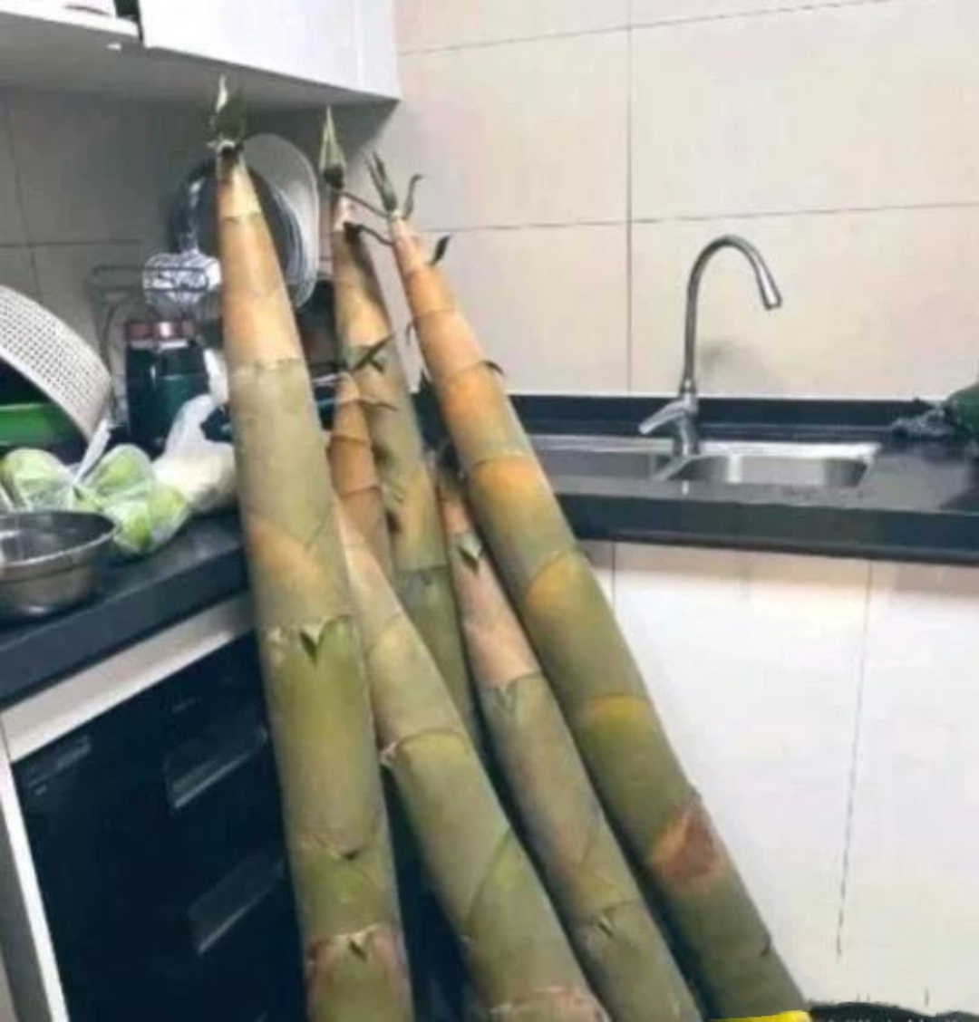 我见过的最大最粗之物-第2张图片