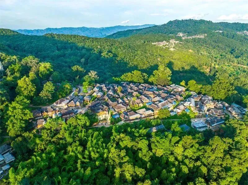 中国茶城在线中国茶城在线，探索茶叶文化的线上新纪元-第2张图片