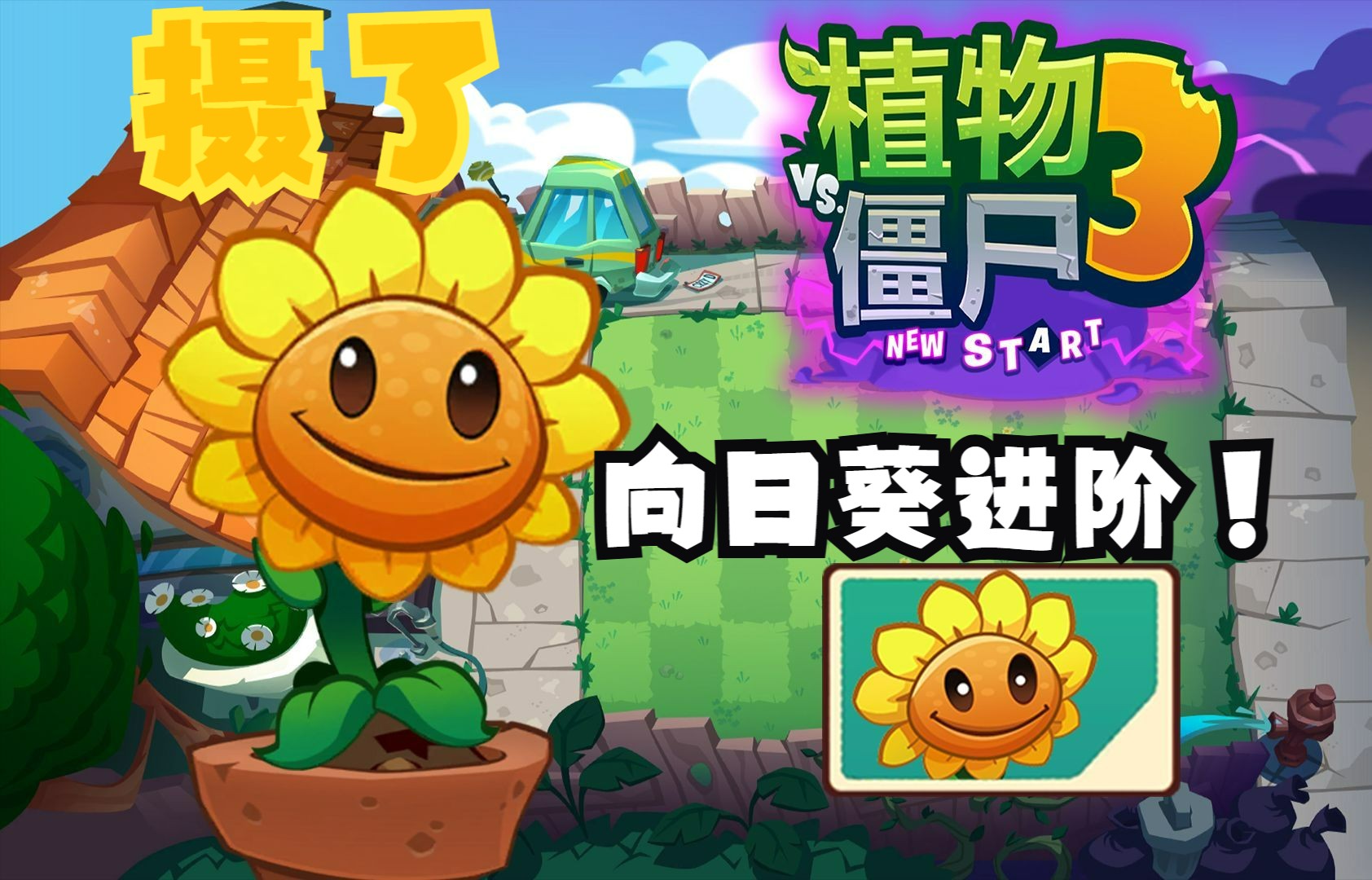 向日葵视频下载安装站长统计网站进入向日葵视频下载安装站长统计网站介绍-第1张图片