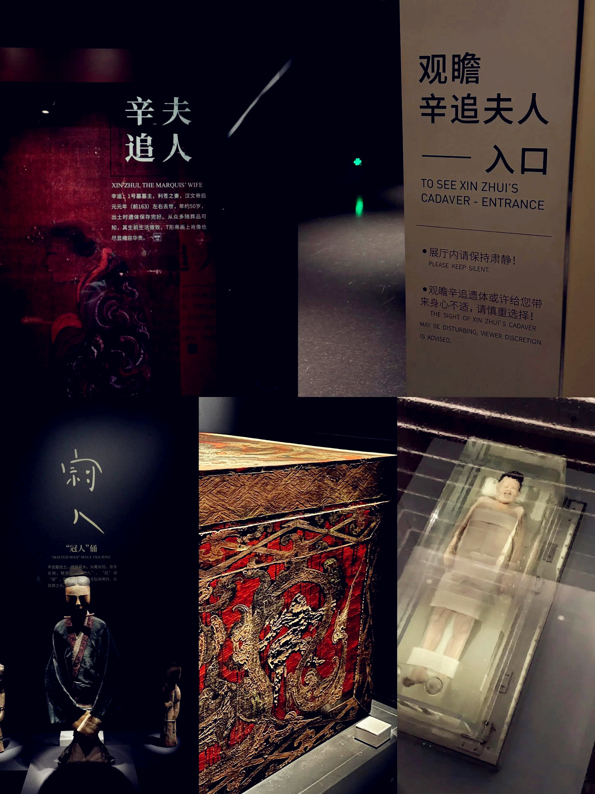 9420看片免费观看_第50集9420免费看片揭秘，探索神秘视频世界-第2张图片