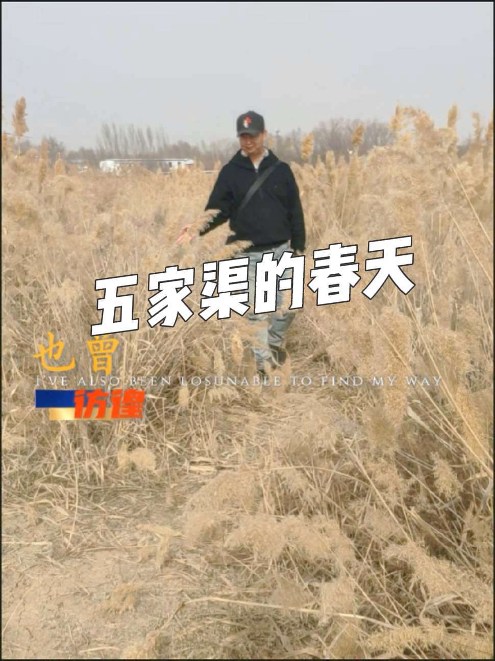 五家渠旅游五家渠旅游攻略
