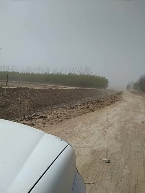 黄沙视频在线观看免费直播www黄沙视频在线观看免费直播-第1张图片