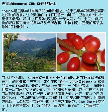 欧美精品一产区二产区欧美精品一产区与二产区概述-第1张图片