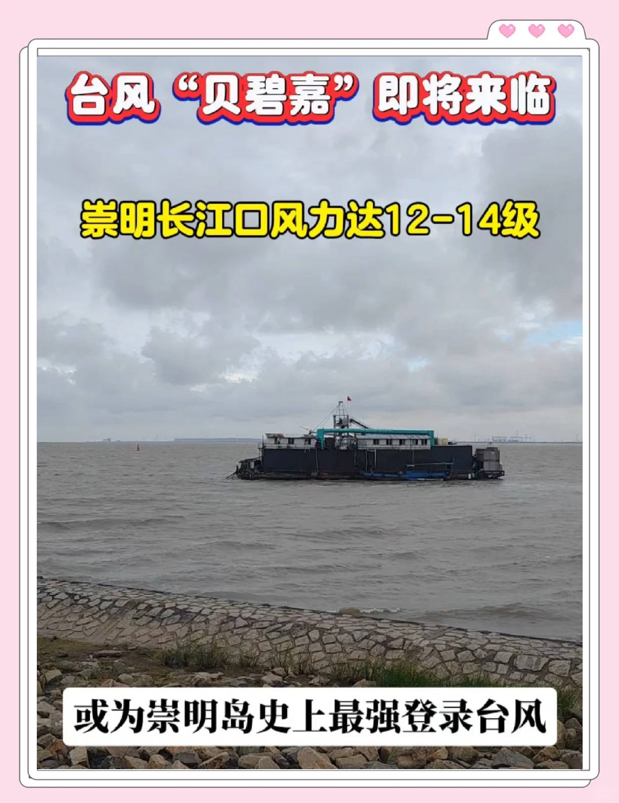 上海台风2024贝碧嘉上海遭遇台风，风雨中的城市之旅-第2张图片