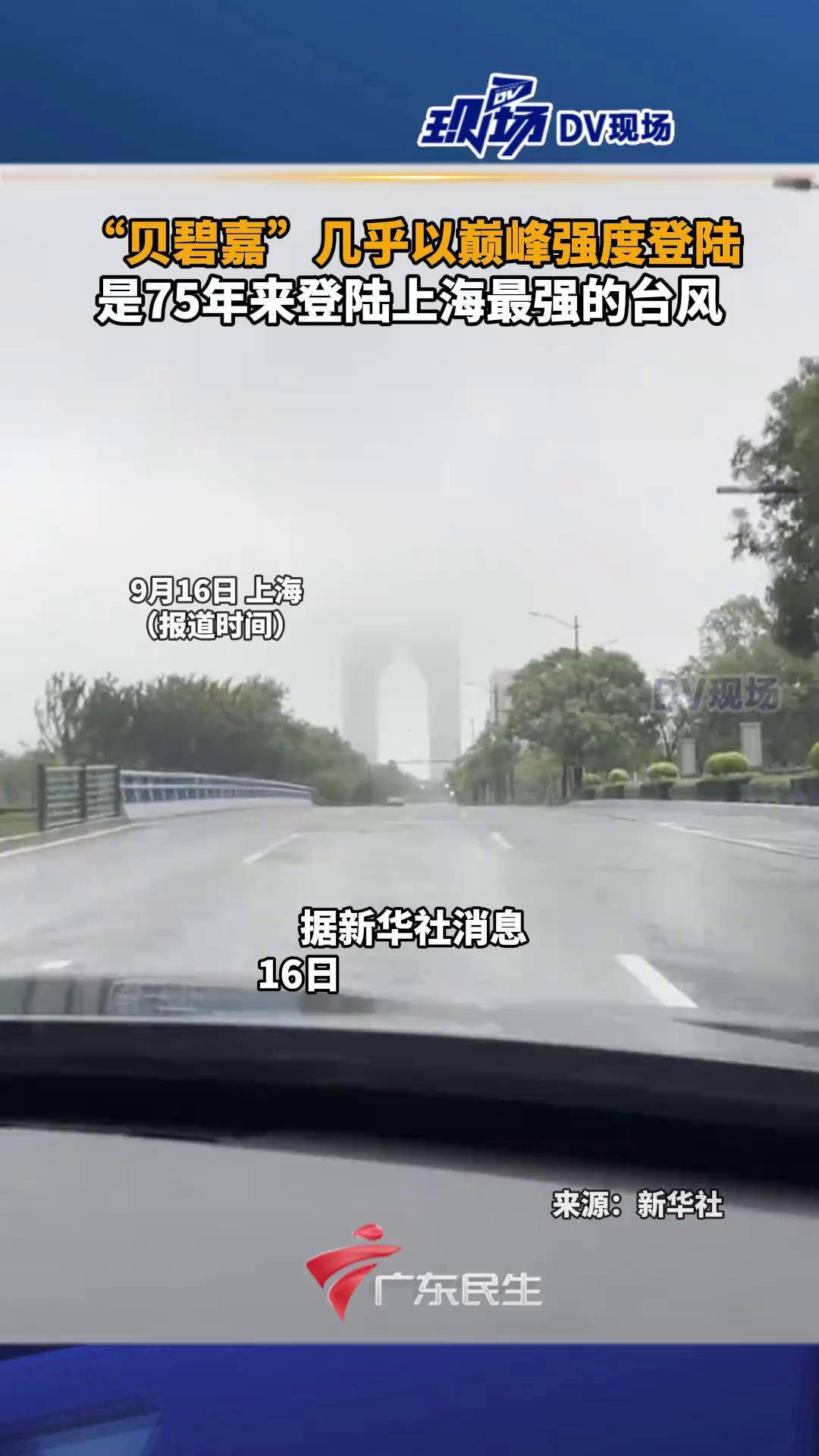 上海台风2024贝碧嘉上海遭遇台风，风雨中的城市之旅-第1张图片