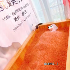 哪里可以看爱爱片免费的哪里可以看爱爱片？探索性内容推荐-第2张图片