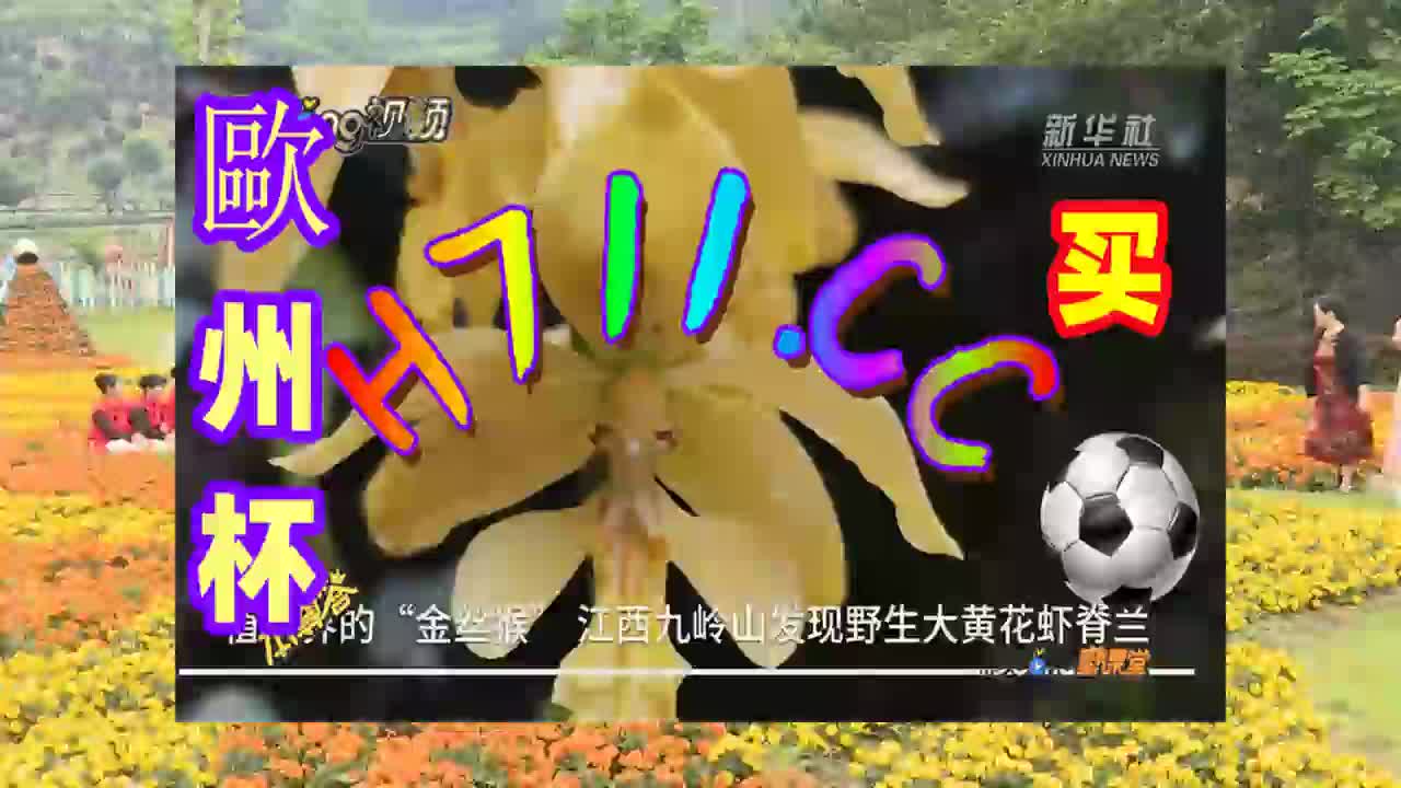 旧版本即时比分足球即时比分1旧版本即时比分，回顾与展望-第3张图片
