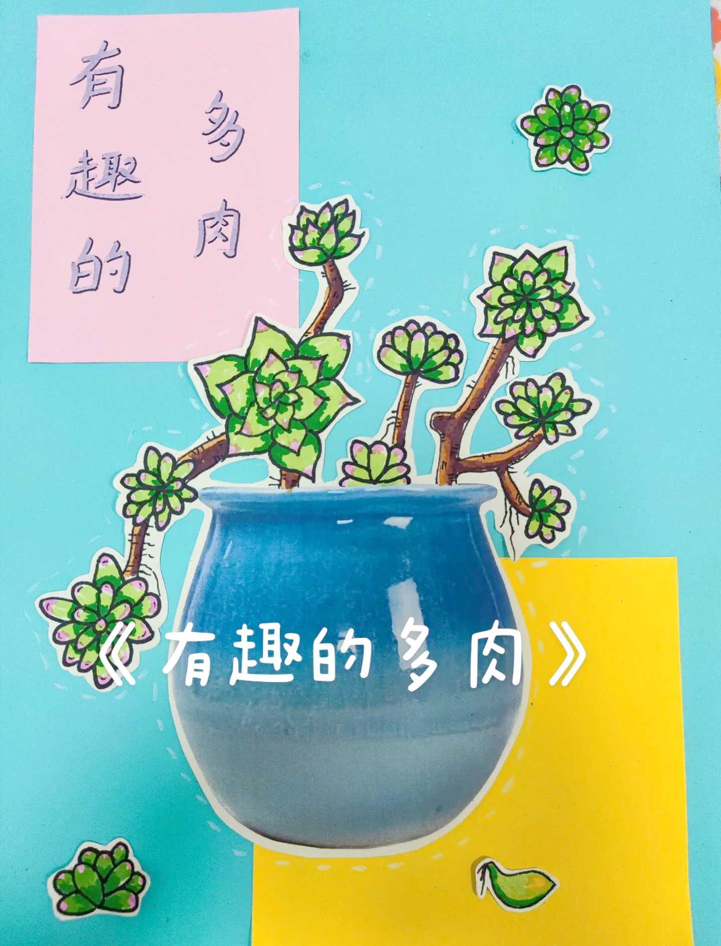 探索多肉玉娇香——1V3视频详解-第2张图片