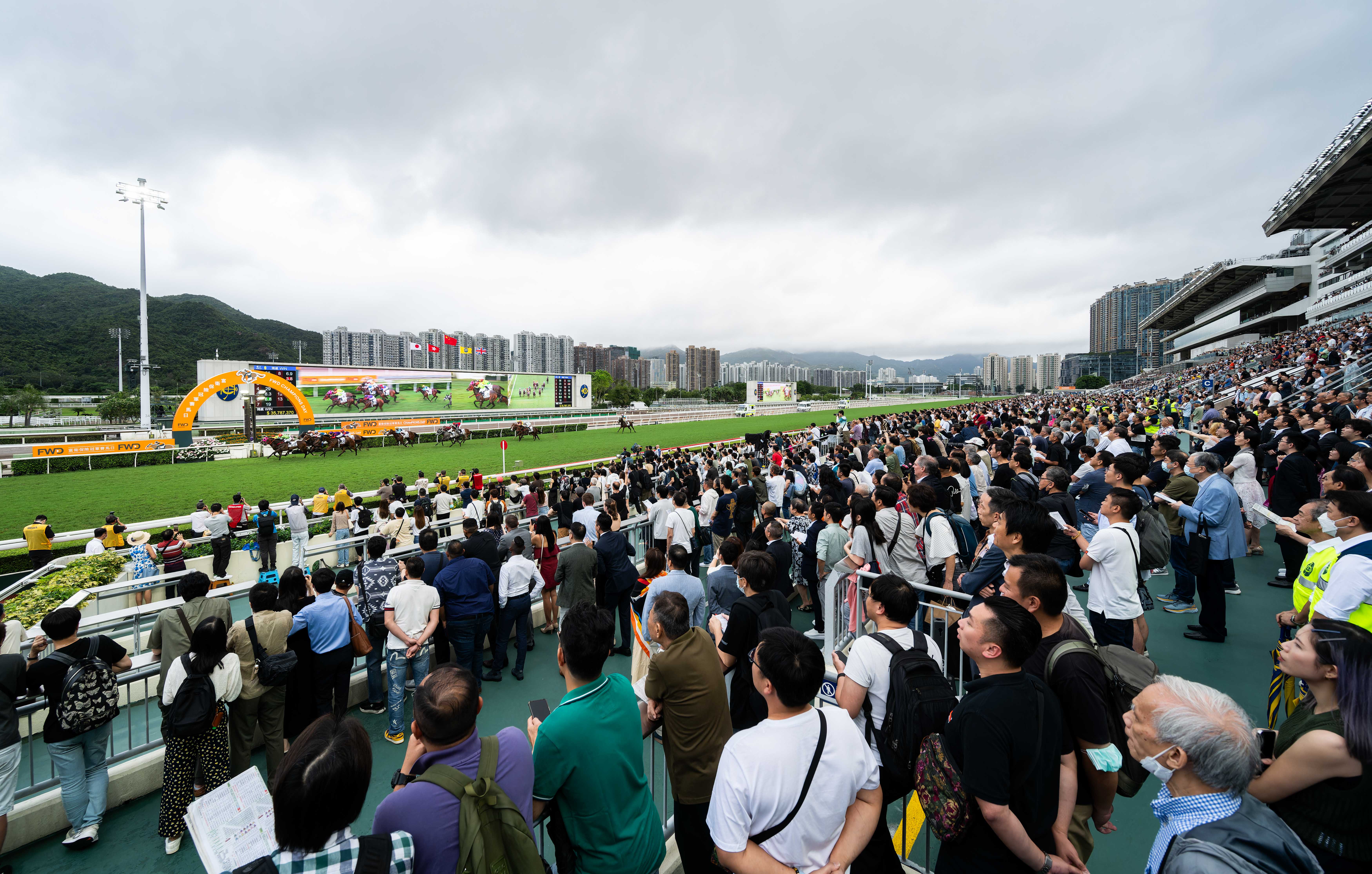 香港赛马会排位香港赛马会排位，赛马运动的荣耀与挑战-第1张图片