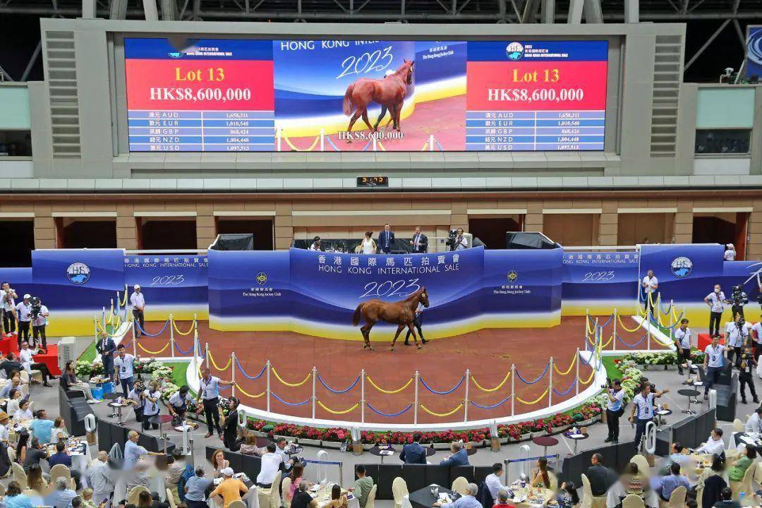 香港赛马会排位香港赛马会排位，赛马运动的荣耀与挑战-第2张图片