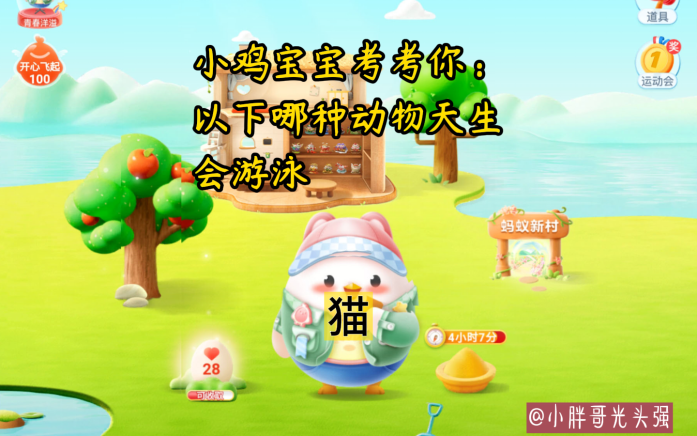 女士蚂蚁庄园，探索女性生活中的小秘密-第2张图片