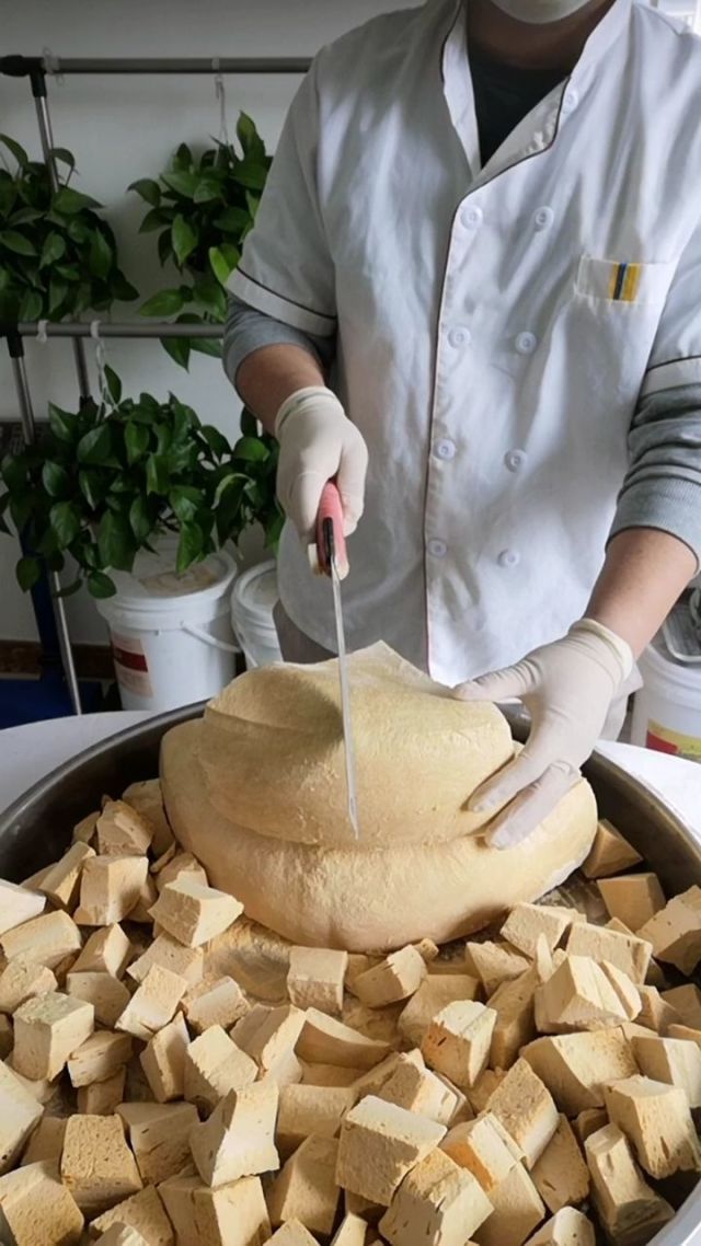 麦芽购物搜索引擎麦芽购物搜索，便捷购物的全新体验-第1张图片