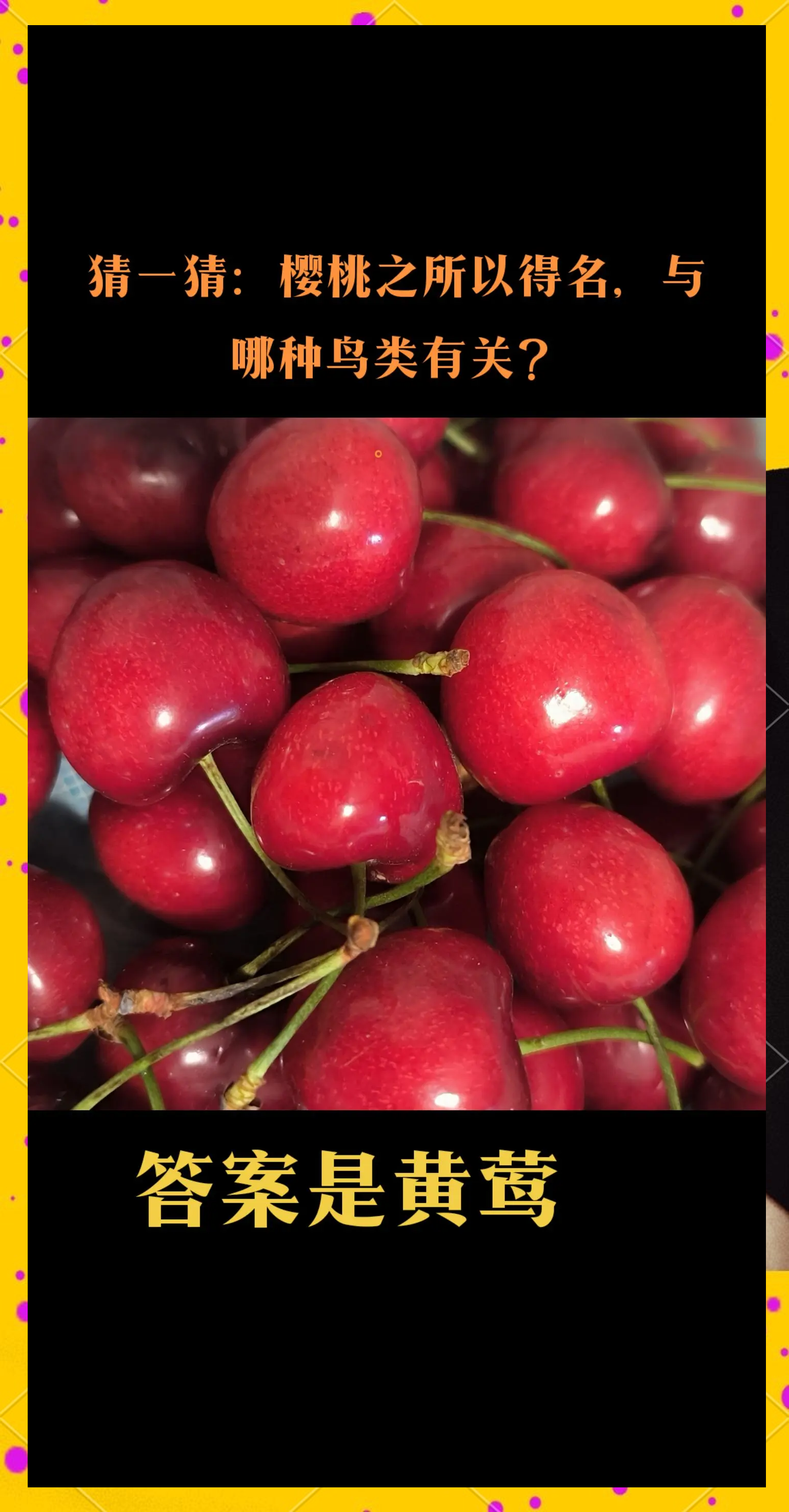 樱桃视频破解版永久免费版樱桃视频破解版永久免费版介绍-第2张图片