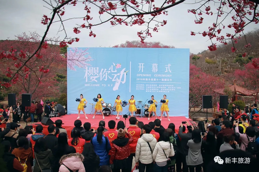 樱花官网官方入门网站介绍-第1张图片