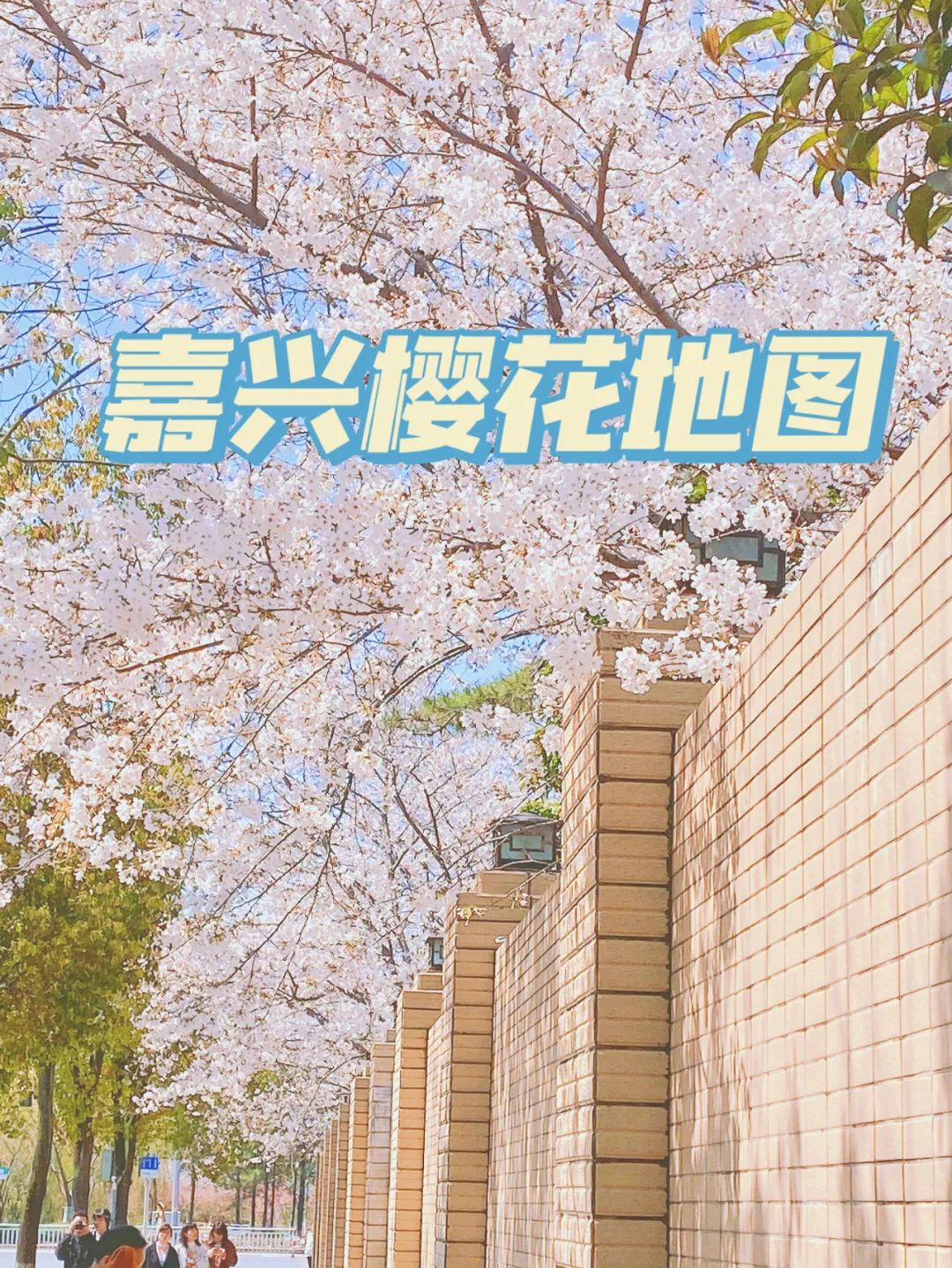樱花官网官方入门网站介绍-第2张图片