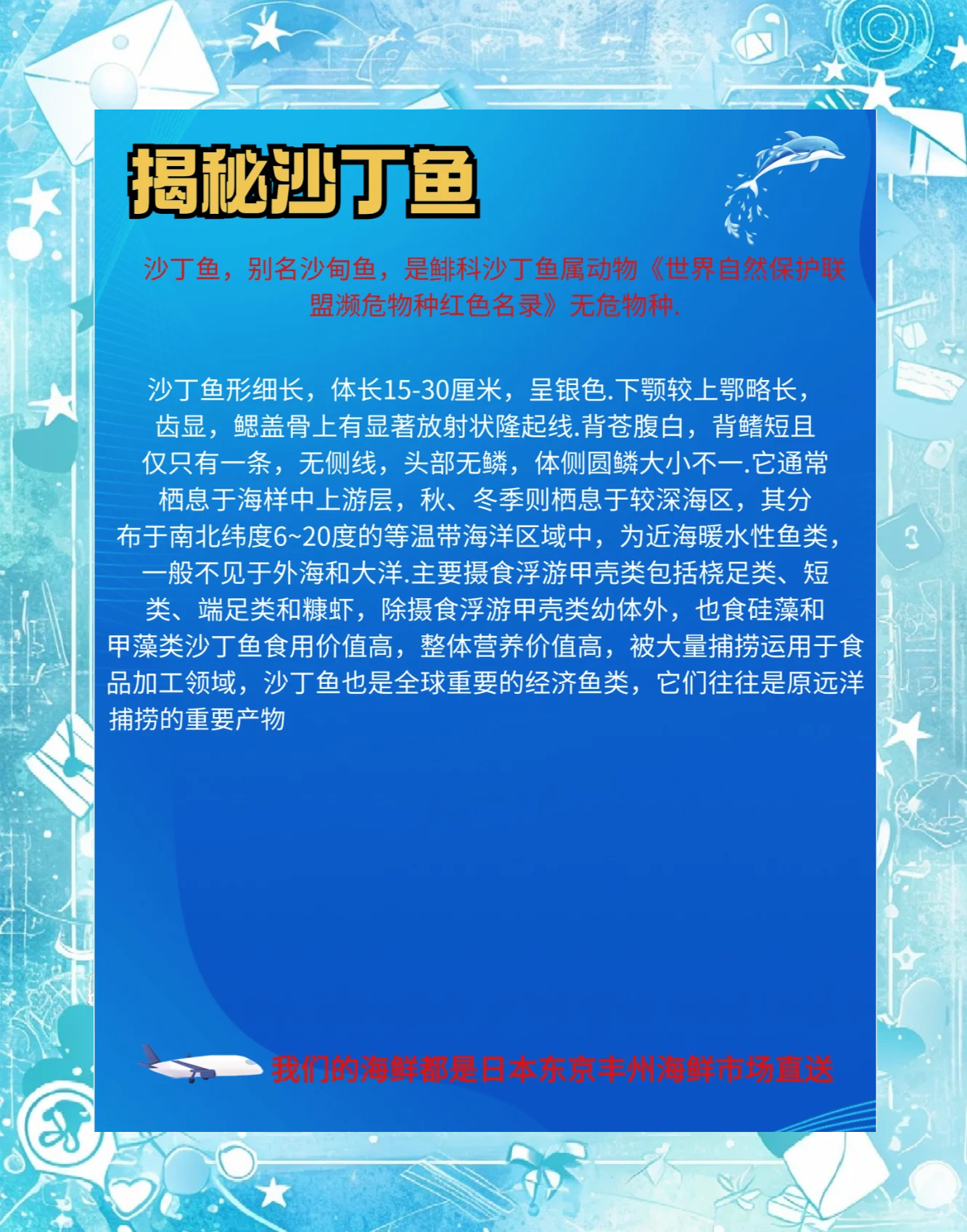 沙丁鱼沙丁鱼之海，海洋中的生命奇迹