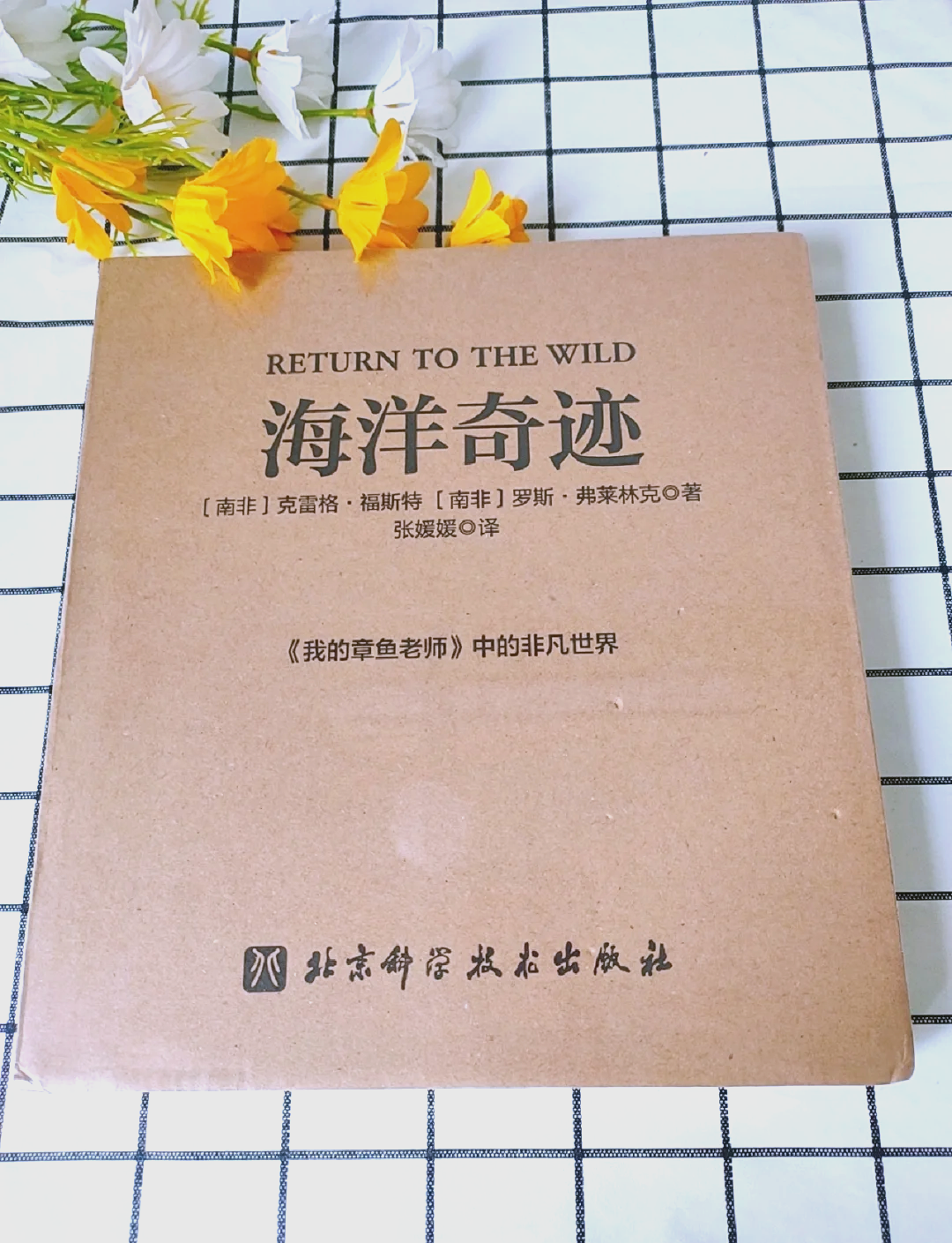 沙丁鱼沙丁鱼之海，海洋中的生命奇迹-第2张图片